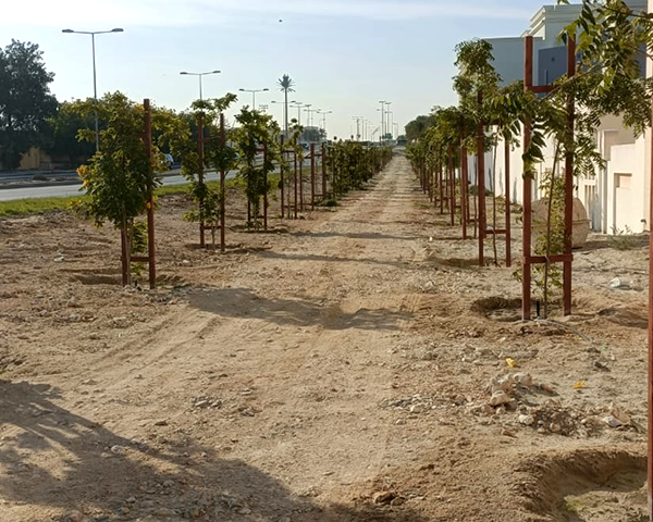 projects-images