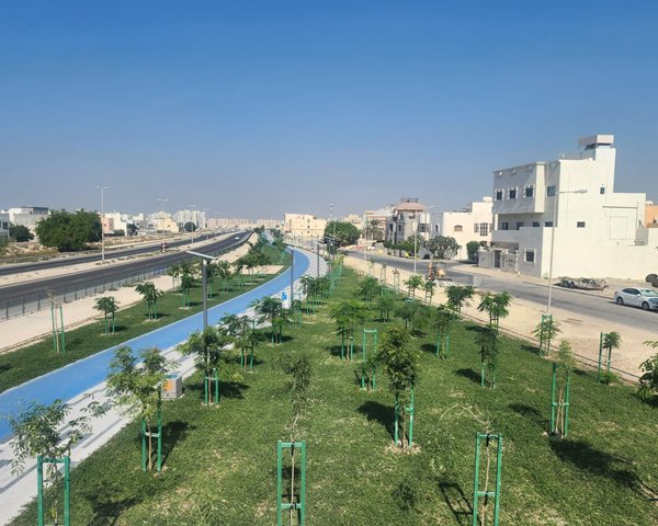 project-area