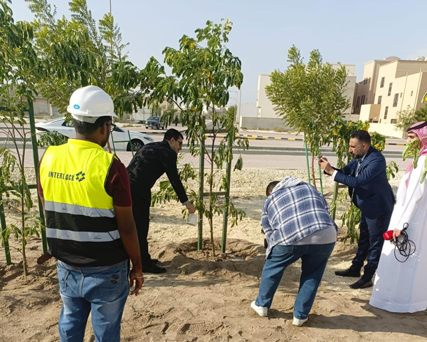 project-area