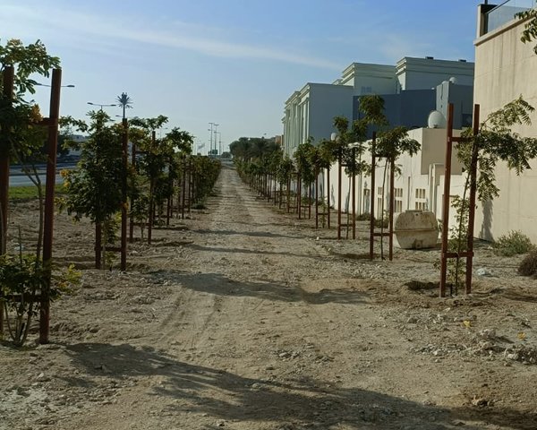 project-area