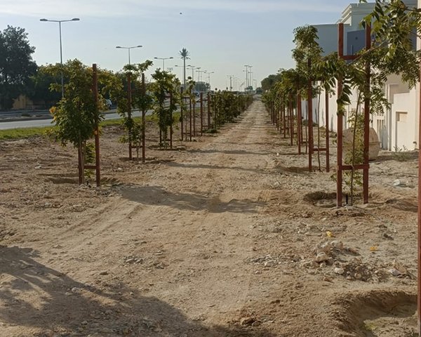 project-area