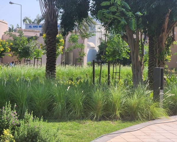 project-area