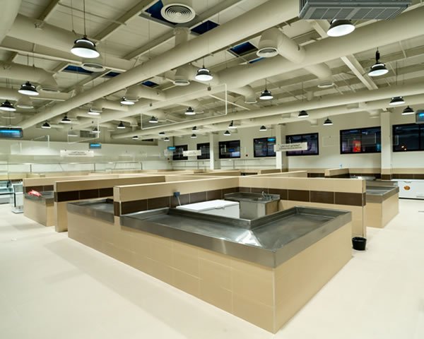 project-area